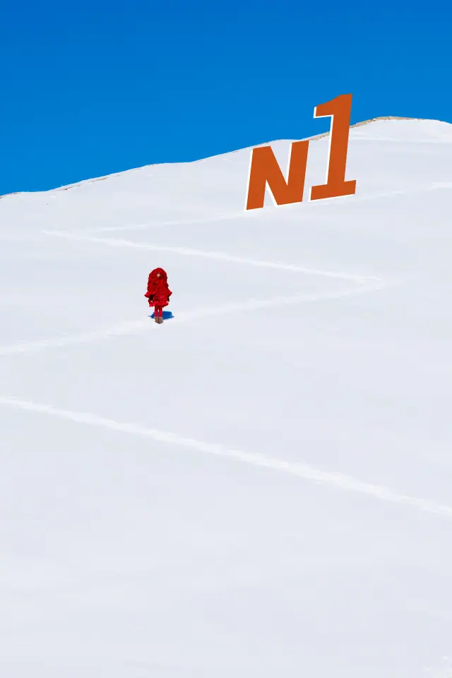 N1 MODE GRAND PRIX.